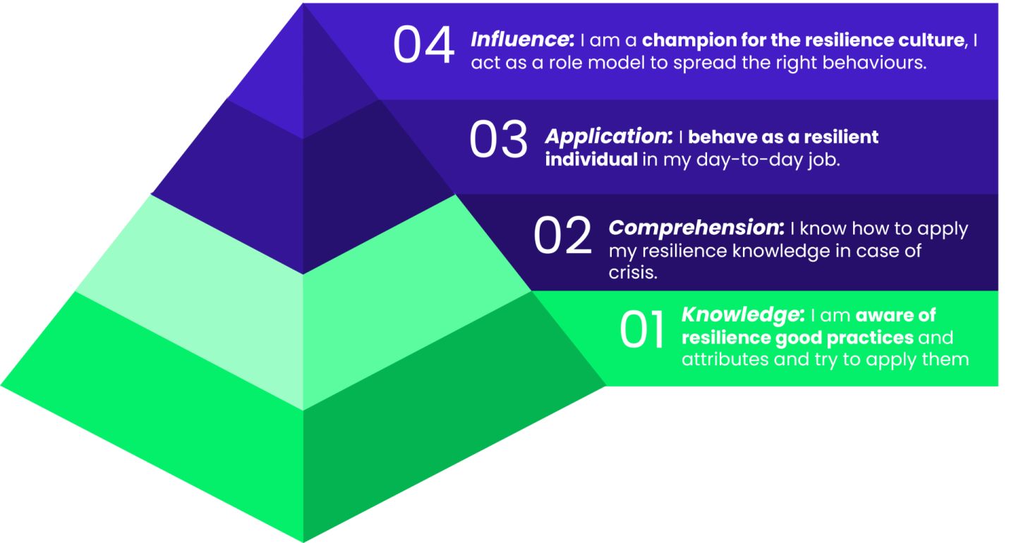 Four resilience maturity levels